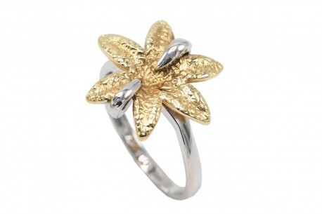 Δαχτυλίδι Δίχρωμο Λευκόχρυσο-Κίτρινο Χρυσό 14 Καράτια oro1348 