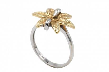 Δαχτυλίδι Δίχρωμο Λευκόχρυσο-Κίτρινο Χρυσό 14 Καράτια oro1348 
