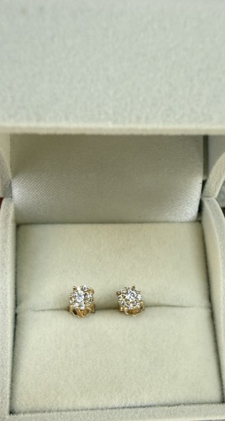 Σκουλαρίκια Χρυσά Ροζέτες 14 Καράτια Με Ζιργκόν oro2926 