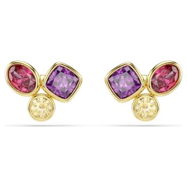 Swarovski Σκουλαρίκια Imber, Πολύχρωμα, Φινίρισμα με χρυσό 18 καρατίων 5760019